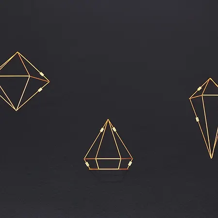 - The Niu, Kettle Vaihingen By Ihg