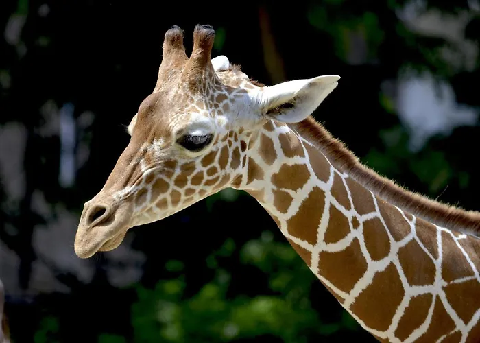 - The Niu, Kettle Vaihingen By Ihg Hotel Stuttgart